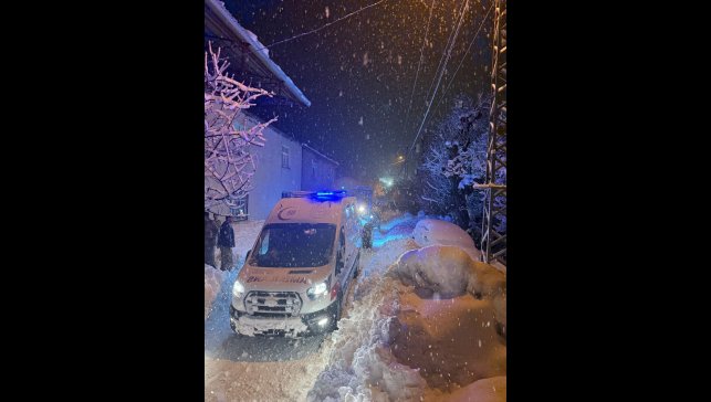 Bitlis'te yolu kardan kapanan köyde rahatsızlanan kadın, ekiplerce hastaneye ulaştırıldı