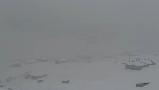 Hakkari'de kar yağışı: 43 yerleşim yerinin yolu kapandı