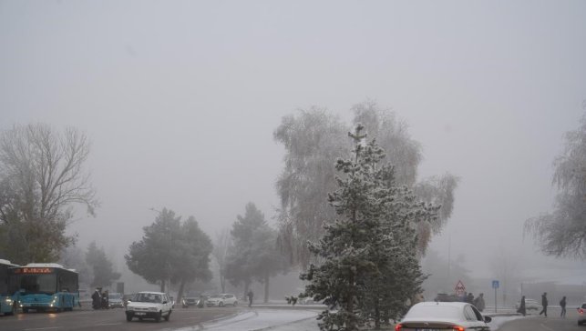 Erzurum'da araç sayısı 152 bin 682 oldu