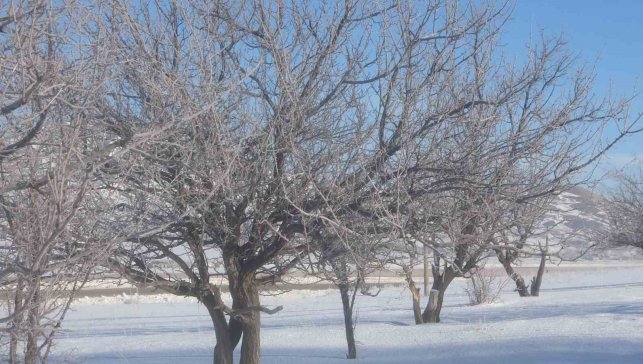 Van'da Sibirya soğukları hayatı olumsuz etkiliyor