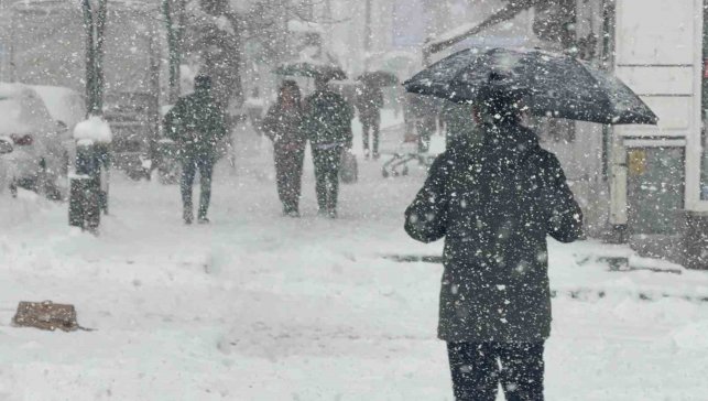 Tatvan'da yoğun kar yağışı yeniden etkili oluyor