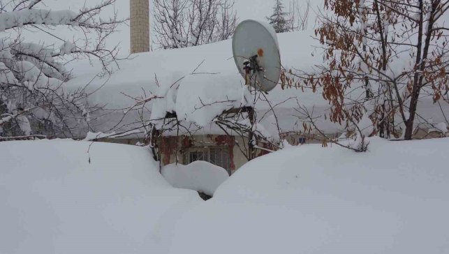 Bitlis'te tek katlı evler kardan kayboldu, 314 köy yolu ise ulaşıma kapandı