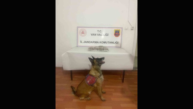 Van'da uyuşturucu madde ele geçirildi