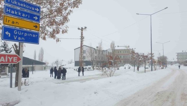 Başkale'de kar yağışı