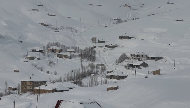 Hakkari'de kar yağışı: 229 yerleşim yerinin yolu kapandı