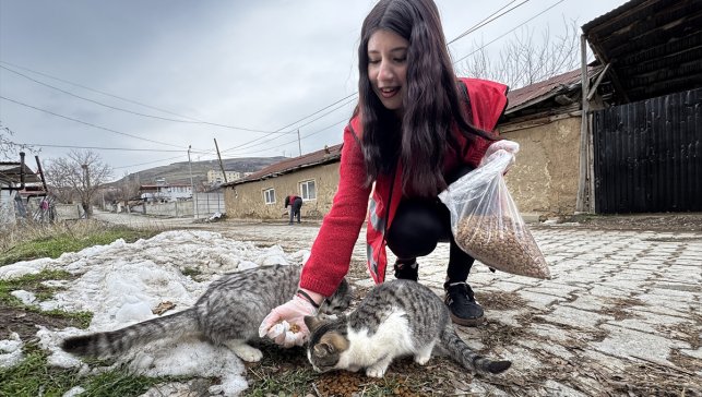 Hayvanseverler zorlu kış şartlarında patili dostların yiyecek ihtiyacını karşılıyor