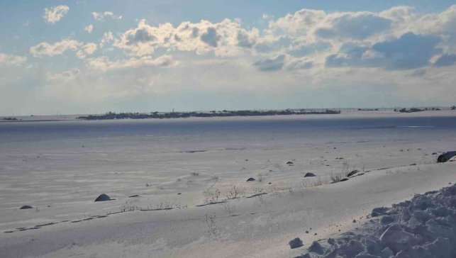 'Kuş cenneti' Arin Gölü tamamen dondu