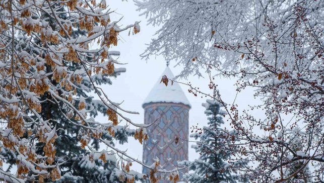 Erzurum'da buzlanma ve dona dikkat