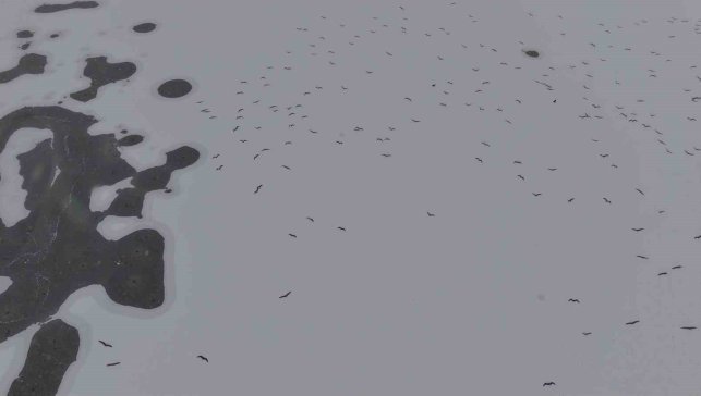 Cip Baraj Gölü buz tuttu