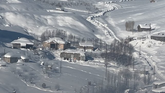 Yüksekova'da çiftçilere "kurt saldırısı" uyarısı