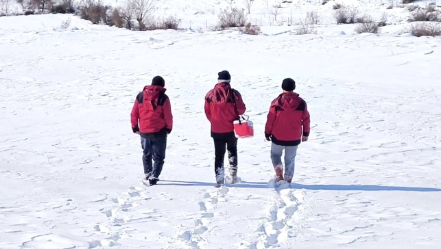 Beyaz esaretin içinde hayat kurtaran eller