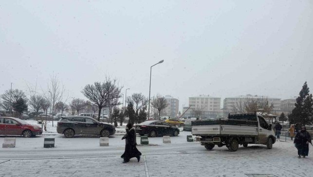 Gece başladı, sabaha şehir uyandı: Iğdır yeniden beyaza büründü