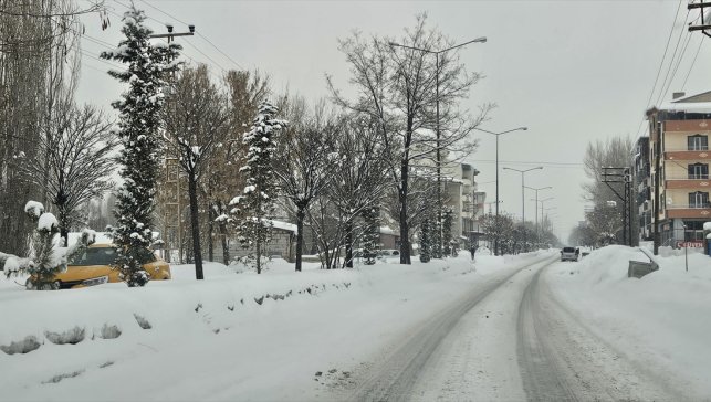 Ağrı ve Kars'ta kar ve tipi etkili oluyor
