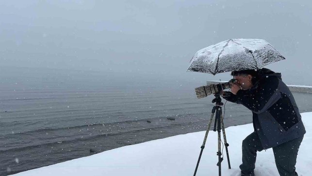 Tatvan'a kış ortasında kuş akını