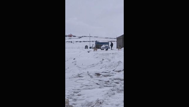 Kars'ın soğuğunda enerji mesaisi: Aras Edaş ekiplerinin soğukla imtihanı