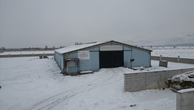 Erzincanlı genç girişimci devlet desteğiyle geleneksel hayvancılıktan modern üretime geçti