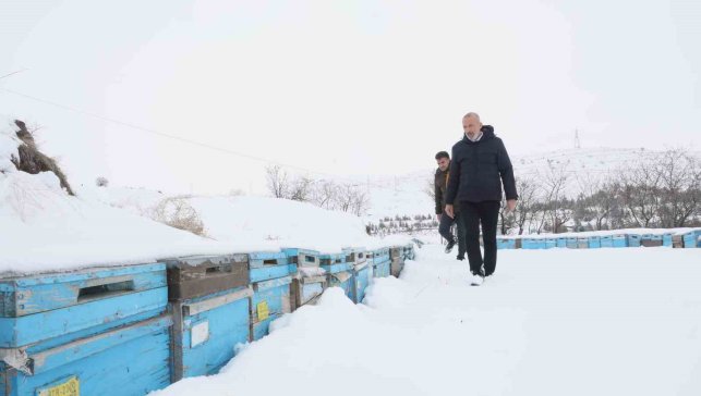 Kar yağışı, koloni kayıplarını ve hastalıkları minimuma indirdi: Arıcılar sezonundan ümitli