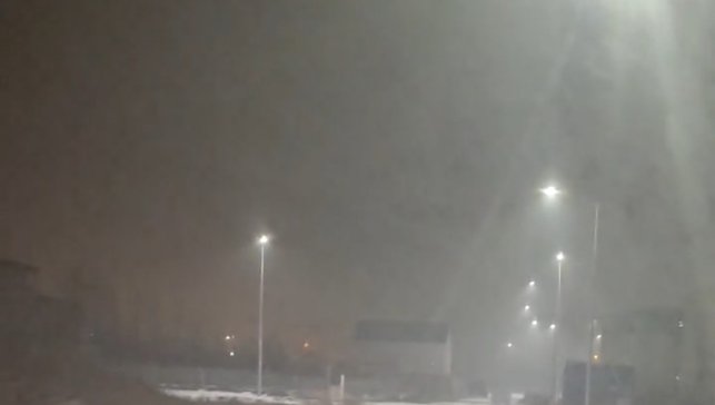 Iğdır'da kurtlar yerleşim yerlerine indi