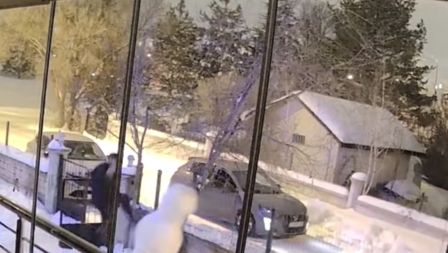 Aracından indi kardan adamı yıkıp gitti