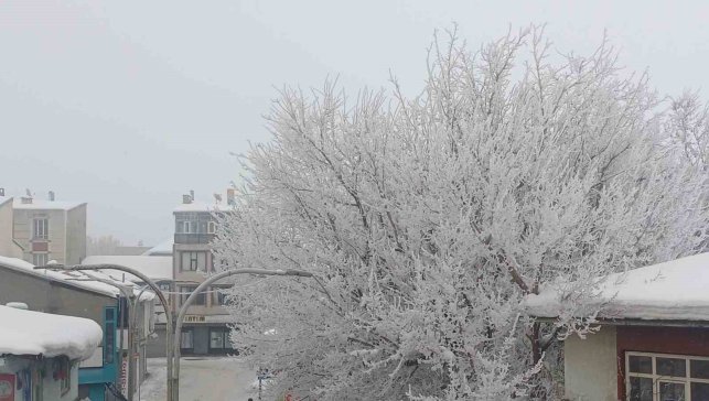 Malazgirt'te dondurucu soğuklar görsel şölene dönüştü