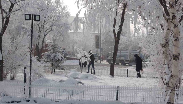 Kırağı sonrası görsel şölen oluştu