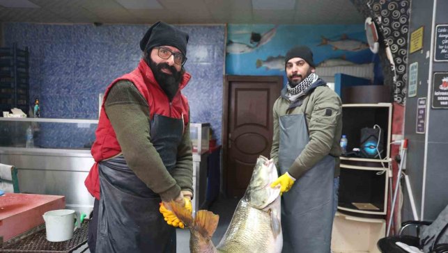 Elazığ'da yakalanan 78 kilogram ağırlığındaki turna balığını iki kişi zor taşıdı