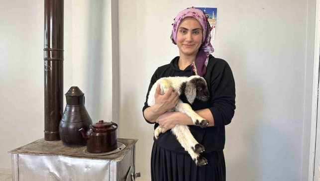 Annesiz kalan kuzu ailenin 'Umut'u oldu