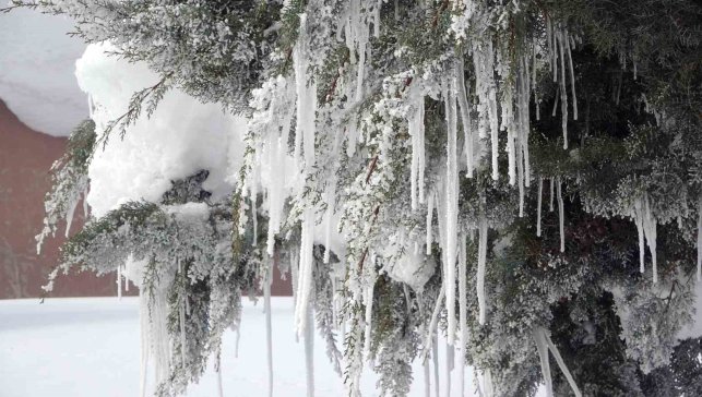 Bitlis'te karla mücadeleye rekor yakıt harcaması