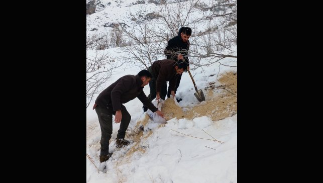 Kemah'ta yaban hayatı unutulmadı