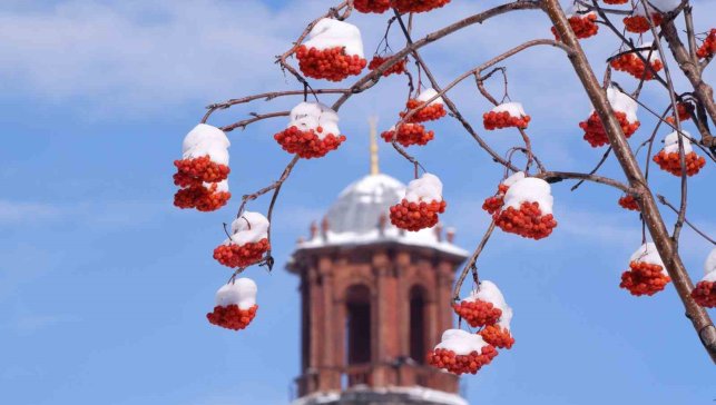 Buzlanma, don ve çığa dikkat