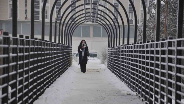 Kars'ta soğuktan ağaçlar kırağı tuttu