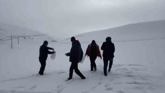 Darende'de öğretmen ve öğrencilerden yaban hayvanlarını unutmadı