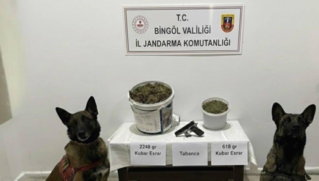 Bingöl'de uyuşturucu operasyonu: 3 gözaltı
