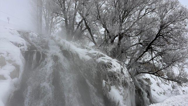 Van, Bitlis ve Hakkari'de kar ulaşımı aksattı