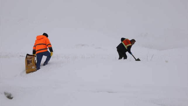 Başkale'de yaban hayvanları için doğaya yem bırakıldı
