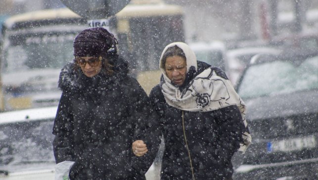 Erzurum ve Kars'ta kar etkili oldu