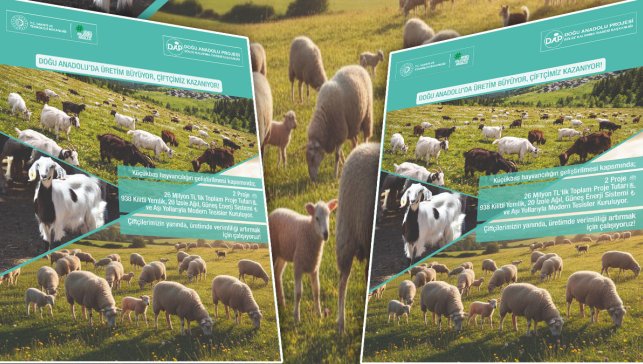Ağrı ve Tunceli’de küçükbaş hayvancılığa 26 milyon liralık destek: Modern ağıl ve güneş enerjisi yatırımı başlıyor