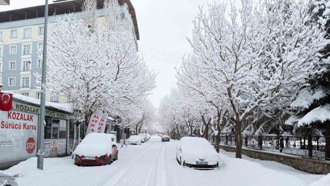 Patnos’ta ilçe merkezine 40 santimetre kar yağdı