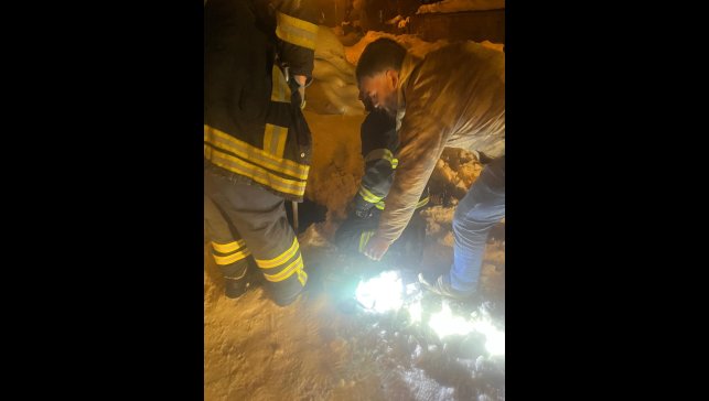 Muş'ta kuyuya düşen köpek kurtarıldı