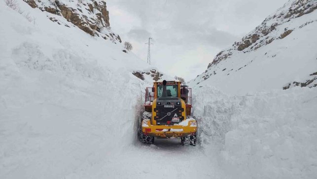 Hakkari-Çukurca yolunda çığ paniği: O anlar kamerada