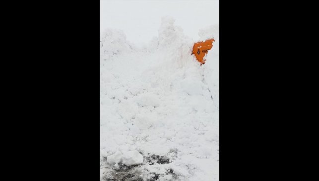 Muş-Kulp kara yolunda yol açma çalışması yapan iş makinesinin üzerine çığ düştü