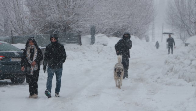 Karlıova'da kar yağışı etkisini sürdürüyor