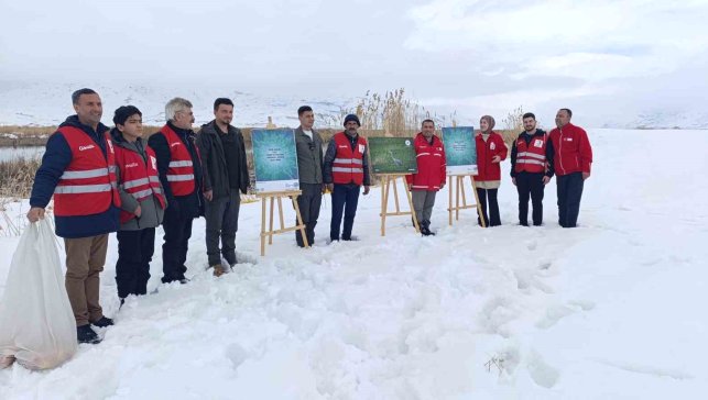 Van'da yaban hayvanları unutulmadı
