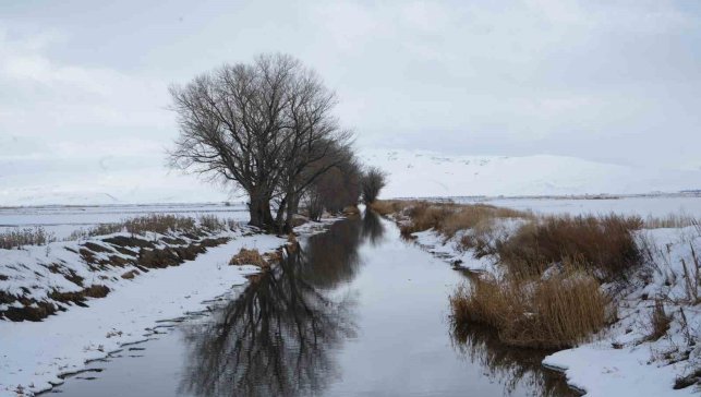 Erzurum'da kar yağışı etkili oluyor