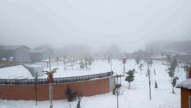 Hakkari'de karla karışık yağmur ve sis etkili oldu