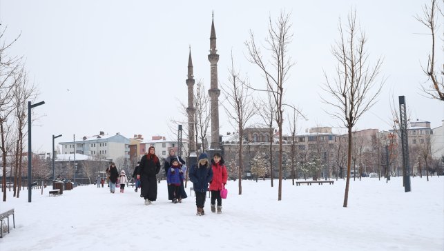 Erzurum, Ardahan ve Kars'ta kar etkili oldu