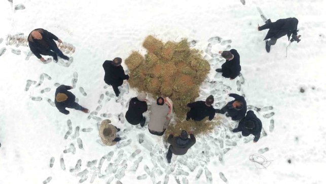 Muş'ta yaban hayatı için doğaya yem bırakıldı