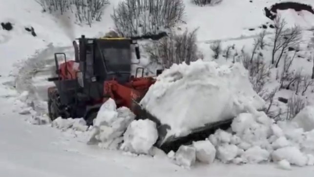 Yedisu'da kar kalınlığı 1 metreyi aştı, ekiplerin mücadelesi sürüyor