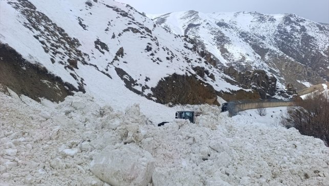 Hakkari-Van kara yoluna düşen çığ temizlendi 