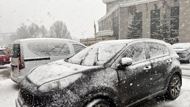 Ardahan'da kar yağışı etkili oluyor